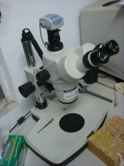 顯微鏡實機照片